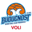 Budućnost VOLI