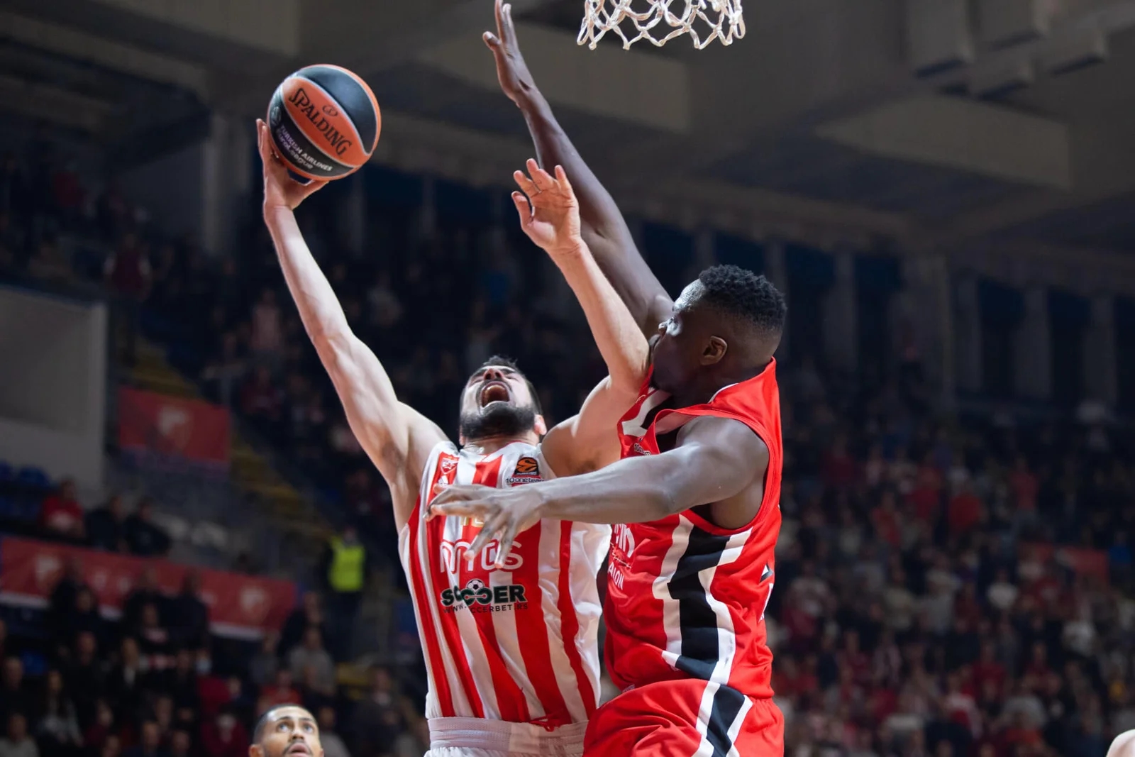 cls235 cpe169881 Image